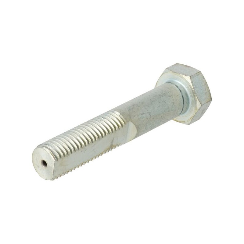 Screw - 10075023N