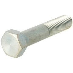 Schraube - 10075023N