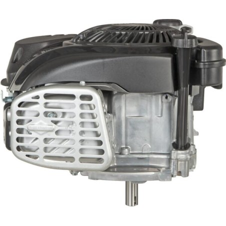 Engine, vertical, 5 HP, 750 EX series, Briggs Stratton - 1008020149H5