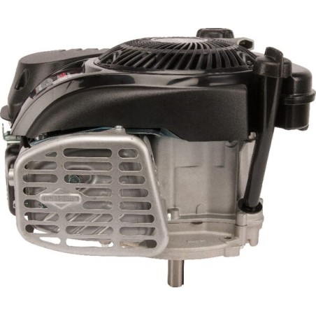 Engine, vertical, 5 HP, 750 EX series, Briggs Stratton - 1008020116H5
