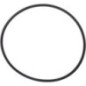Ring - 1007242M1 Ring - 1007242M1
