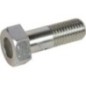 Bolt - 101019223 Bolt - 101019223