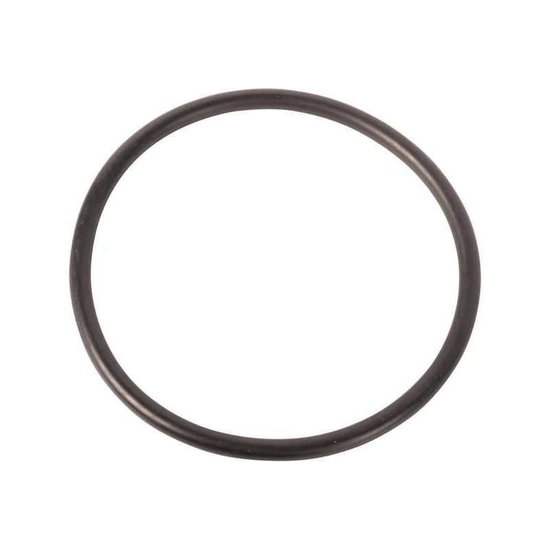 O-Ring - 1007241M1