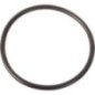 O-Ring - 1007241M1