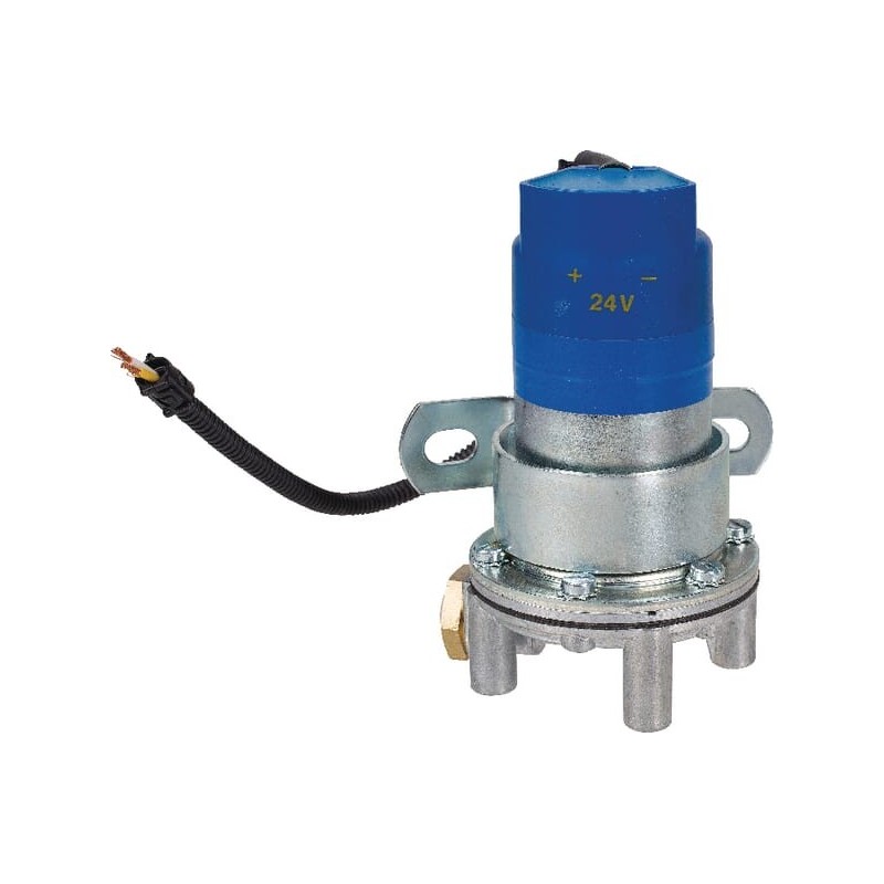 Kraftstoffpumpe 24V - 100248V