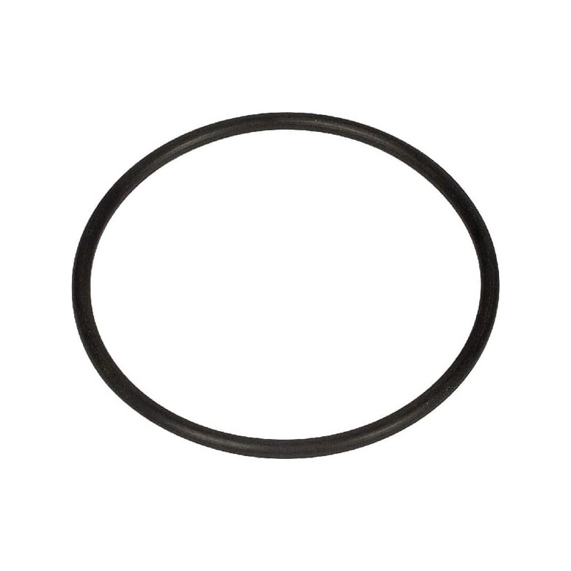O-Ring - 100413148