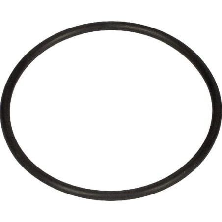 O-ring diameter 58x3mm - 100413148