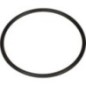 O-Ring - 100413148