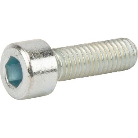 Screw - 10010