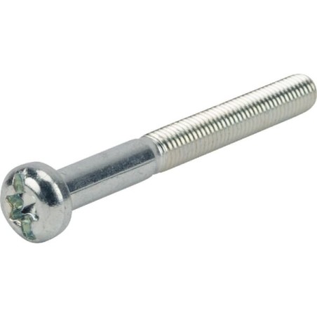 Screw - 10067
