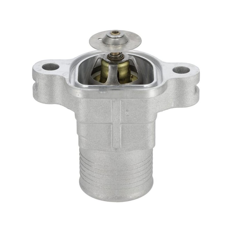 Thermostat - 1000256908