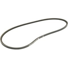V-belt - 1000226632
