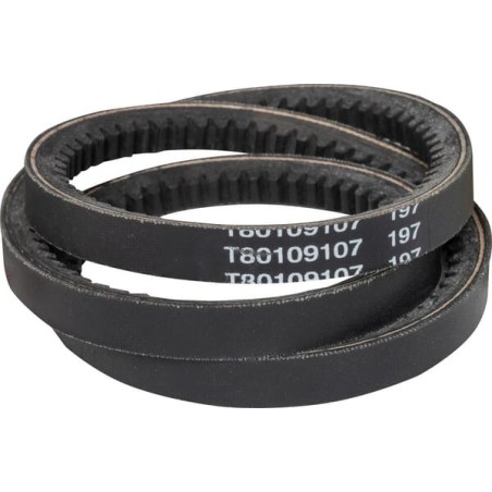 V-belt - 1000238182