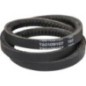 V-belt - 1000238182