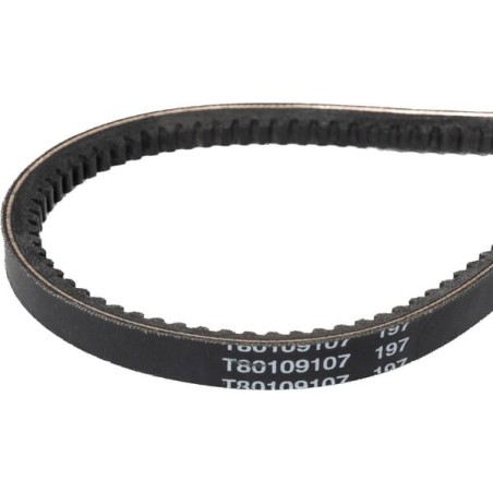 V-belt - 1000238182