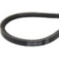 V-belt - 1000238182