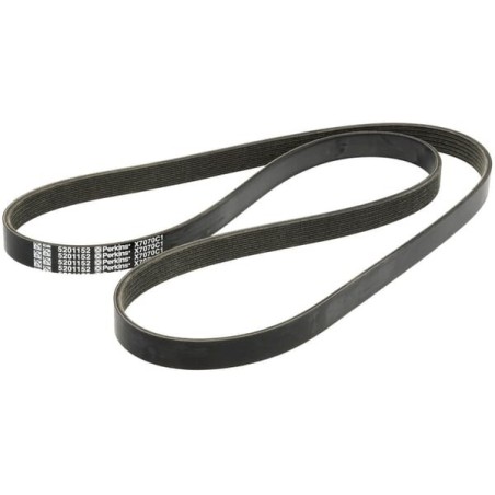 V-belt - 1000428042