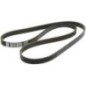 V-belt - 1000428042