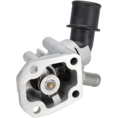 1000310883 Weidemann, Thermostats 