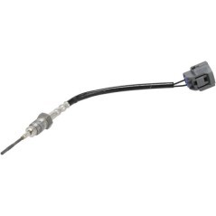 Sensor - 1000308381
