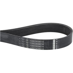 1000309814 Weidemann, Car belts 