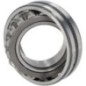Bearing - 1000320089 Bearing - 1000320089