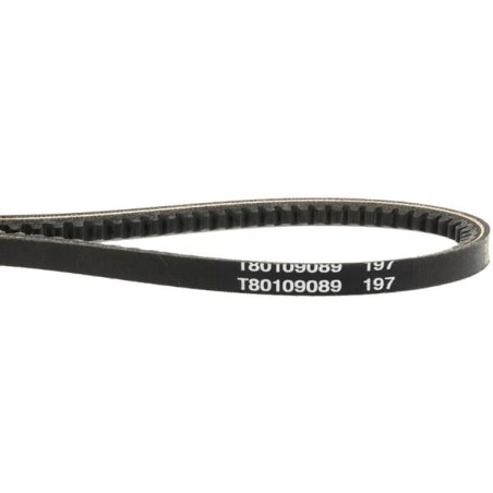 V-belt - 1000314538