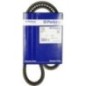 Pas klinowy - 1000226671