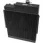 Radiator - 1000214506N