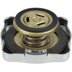 Radiator Cap - 1000405933