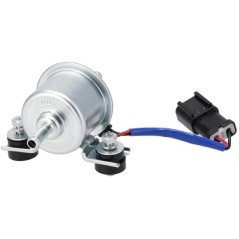 Kraftstoffpumpe - 1000308421