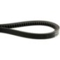V-belt - 1000310958