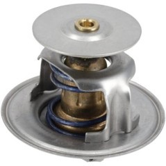 1000364234 Weidemann, Thermostate 