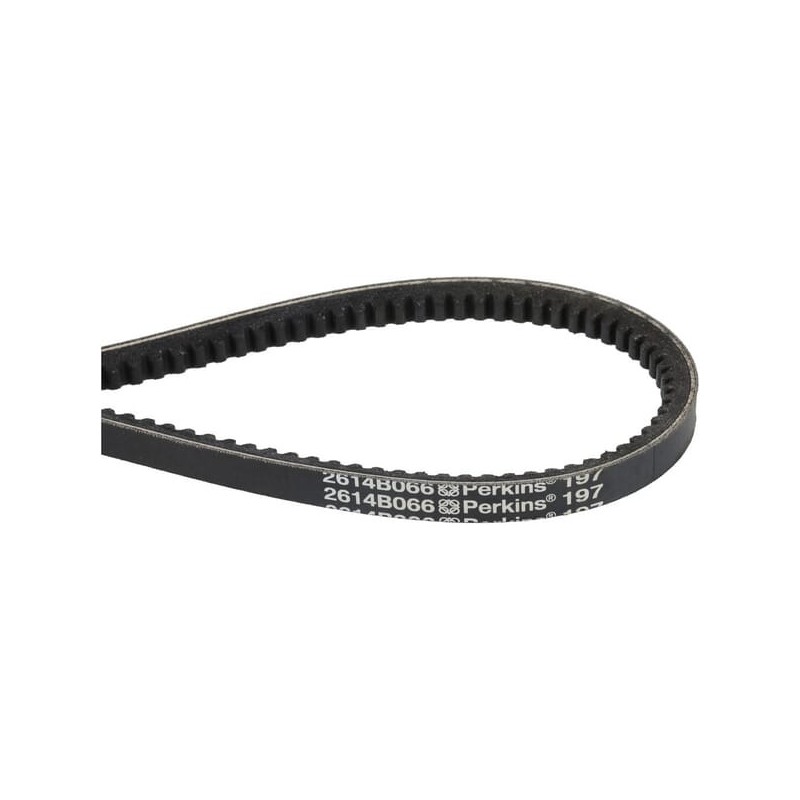 V-belt - 1000323725