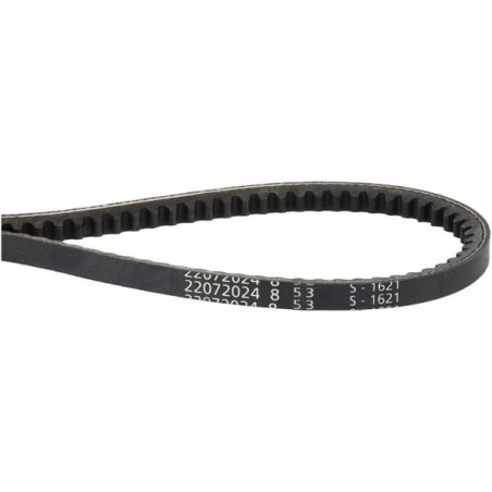 V-belt - 1000226711