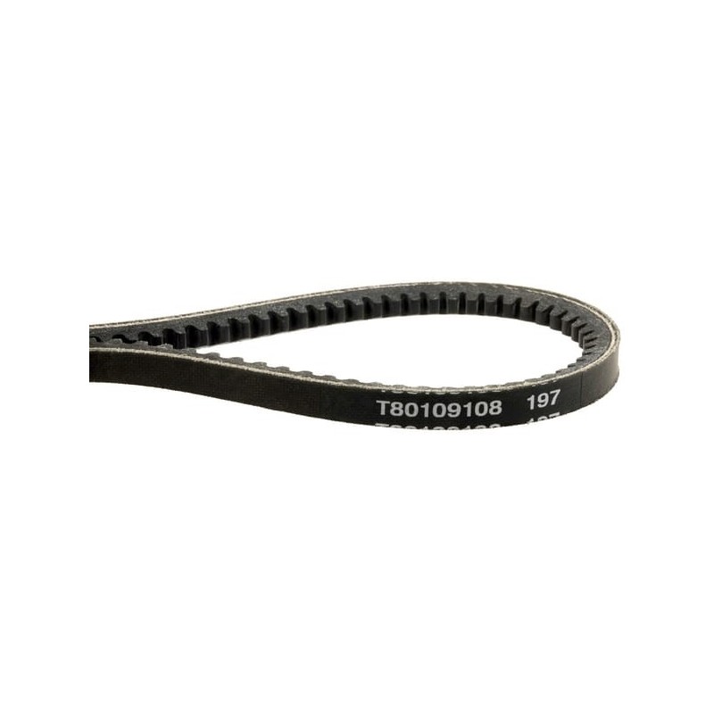 V-belt - 1000312917