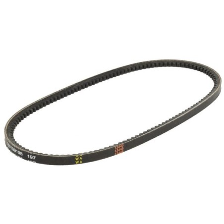V-belt - 1000312917