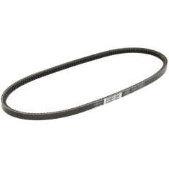 V-belt - 1000266559
