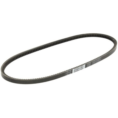 V-belt - 1000266559