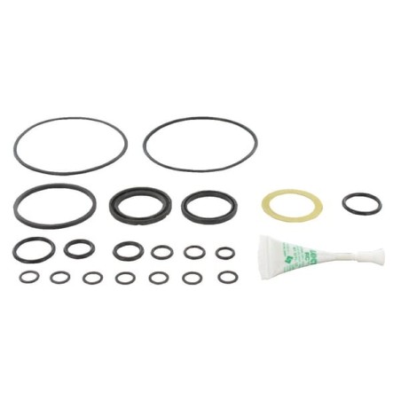 Dichtsatz 60540 Char Lynn H-plus - 1019AFD