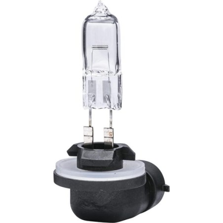 Light bulbs – produkty dostępne w rolniczeczesci.pl