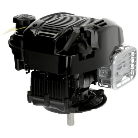 Engine, vertical, 5.4 HP, 675 Briggs Stratton - 104M020092H5