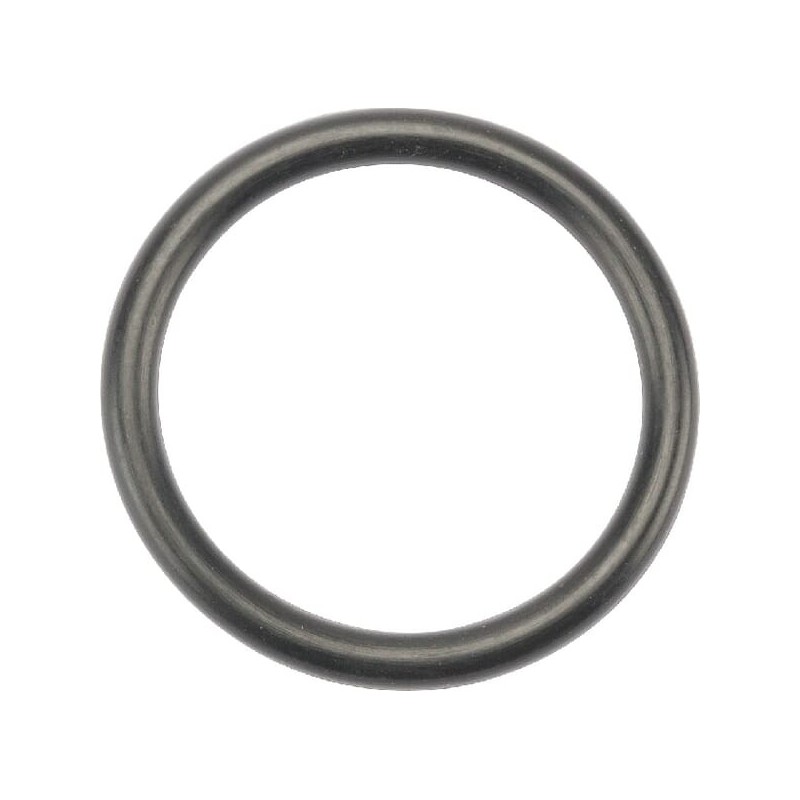 O-ring - 10639