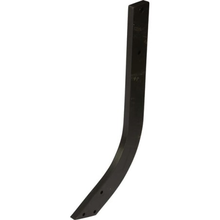 Ząb długi - 107402890