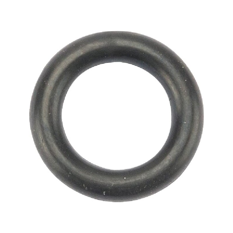 O-Ring - 10679SL O-Ring - 10679SL