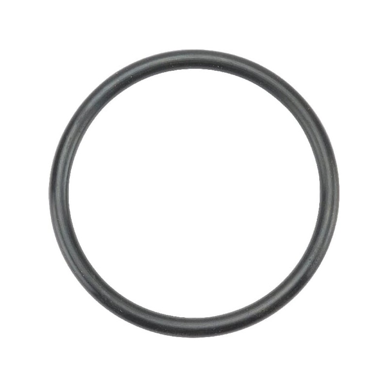 O-Ring - 10697 O-Ring - 10697