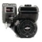 Engine, horizontal, 6.4 HP, Briggs Stratton - 1062320272F1
