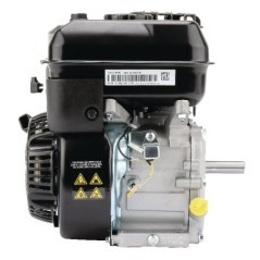 1062320272F1 Briggs & Stratton, Complete engines 