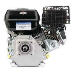 1062320272F1 Briggs & Stratton, Complete engines 