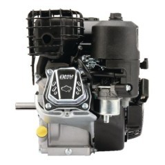 1062320272F1 Briggs & Stratton, Complete engines 